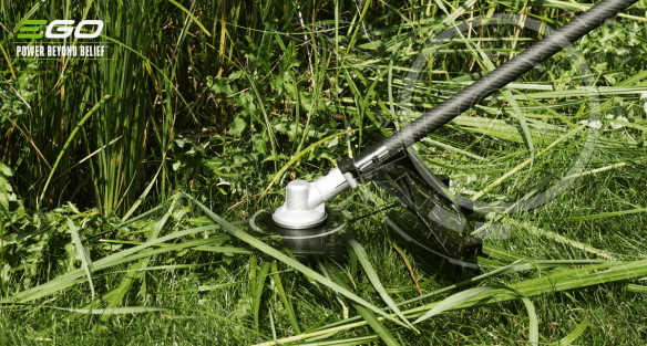 Houd braamstruiken en andere hardnekkig onkruid onder controle 